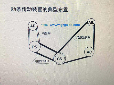 专业生产厂家 V带 多楔带 V型肋力条