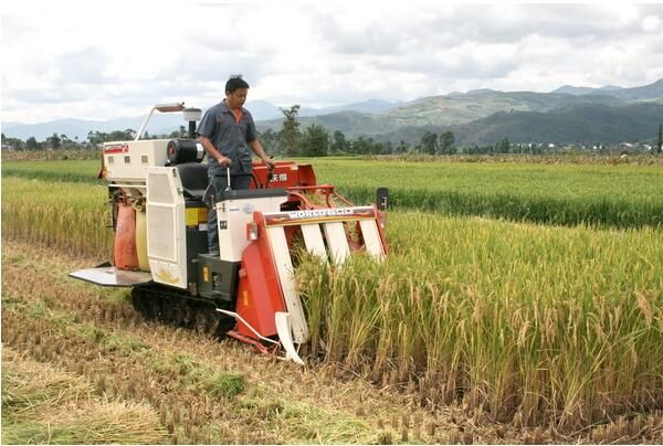 农用机械传动带