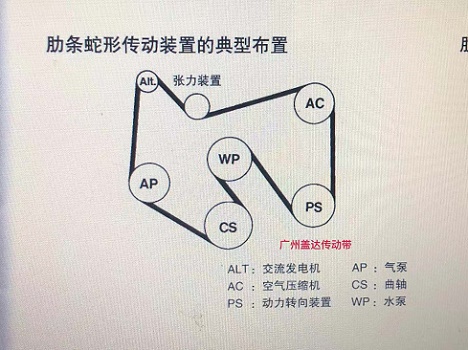 燃油机传动带