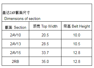 联组V带